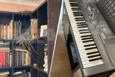 Голуби устроили гнезда в квартире саратовчанки