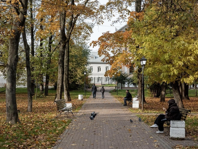 В это время года скверы и парки превращаются в настоящую палитру осенних цветов | Источник: Александр Куренной / 76.RU