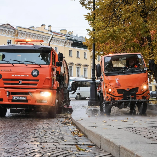 Источник: Комитет по благоустройству Петербурга