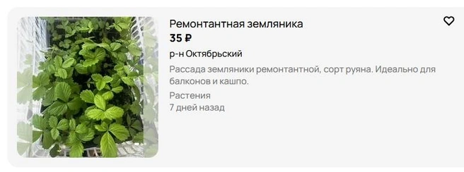 Источник: Avito.ru