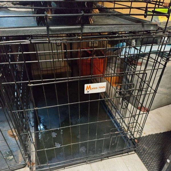 Источник: MONA / Telegram