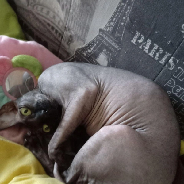 Источник: читатель НГС