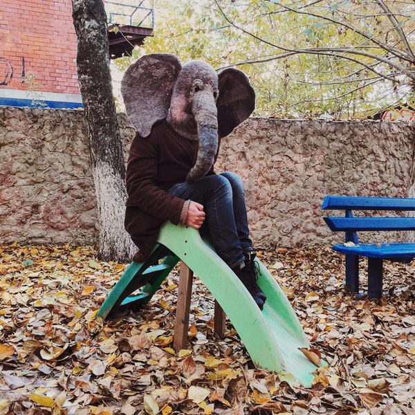 Instagram (запрещенная в России экстремистская организация) недели: грустный слон в фотоблоге о Перми