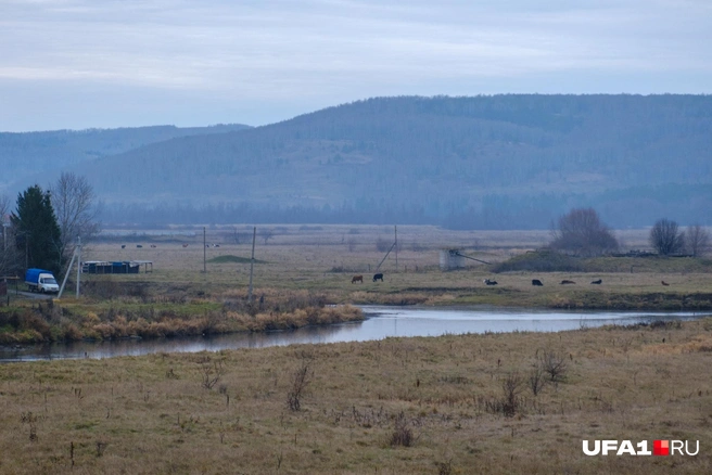 Природа Салаватского района впечатляет | Источник: Булат Салихов / UFA1.RU