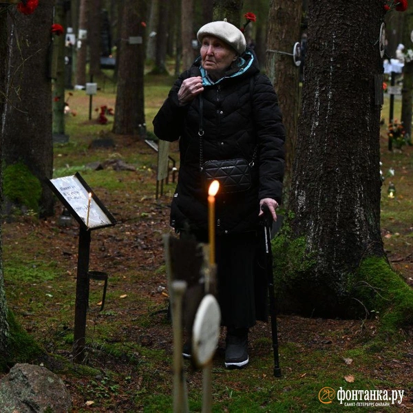 Источник: Андрей Бок / «Фонтанка.ру»