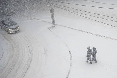 В Приморье выпало 10 см снега в конце апреля