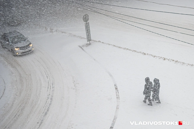 Источник: Елена Буйвол / VLADIVOSTOK1.RU