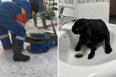 Более 1900 домов в Березниках без воды — сроки восстановления неизвестны