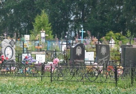 За полгода население Рязанской области сократилось на 2,5 тыс. | ya62.ru