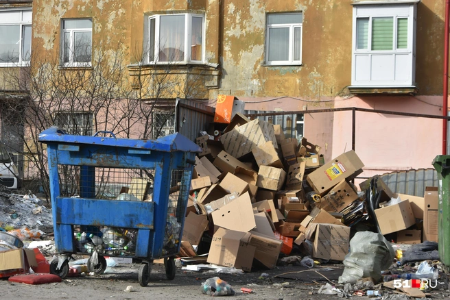 Кроме пищевых отходов, здесь полно картона, в котором и поселились крысы | Источник: Александра Балаба