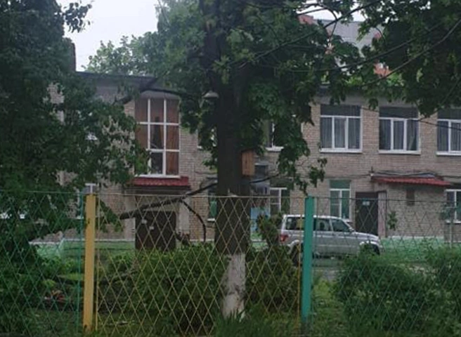 Рязанка, погибшая при падении дерева на улице Островского, шла с ребенком | ya62.ru