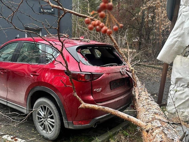Автомобиль находился на оборудованной парковке | Источник: читатель 74.RU