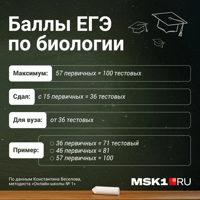 Источник: Полина Авдошина / Городские порталы