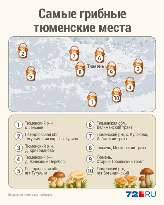 Источник: Дмитрий Гладышев / 72.RU