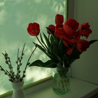 Аватарка Kris