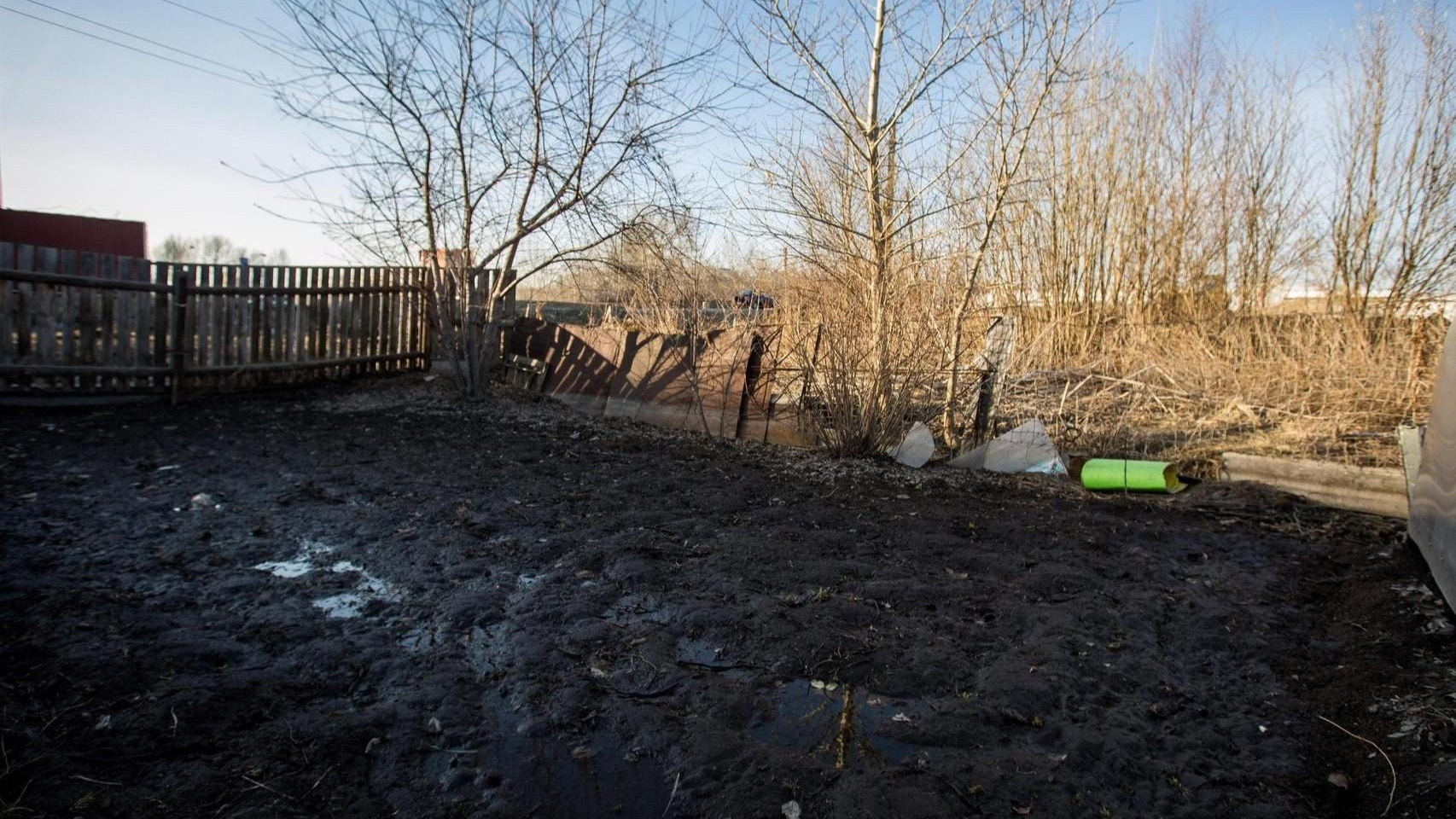 Жительница Татарстана нашла в огороде человеческий скелет и заподозрила мужа в убийстве