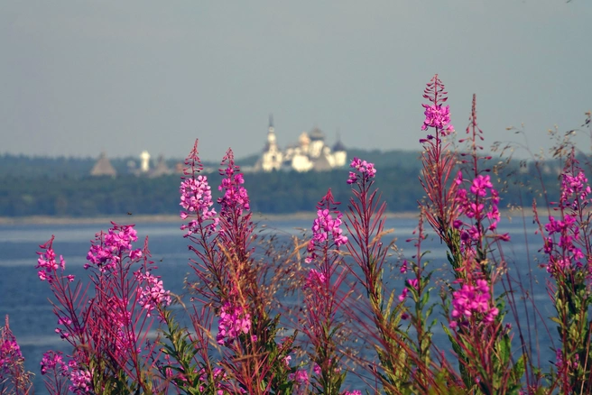 Соловецкий кремль | Источник: Евгений Марсаков