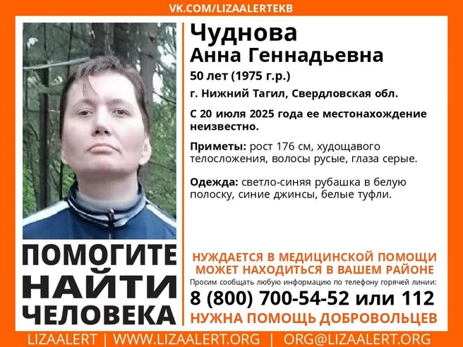 Источник: «ЛизаАлерт»