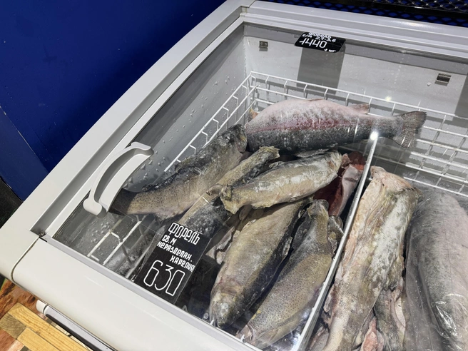 Источник: Юлия Король / 45.RU