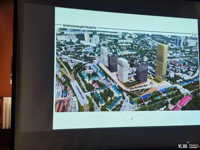 Предполагалось, что здесь может появиться и детский сад | Источник: newsvl.ru