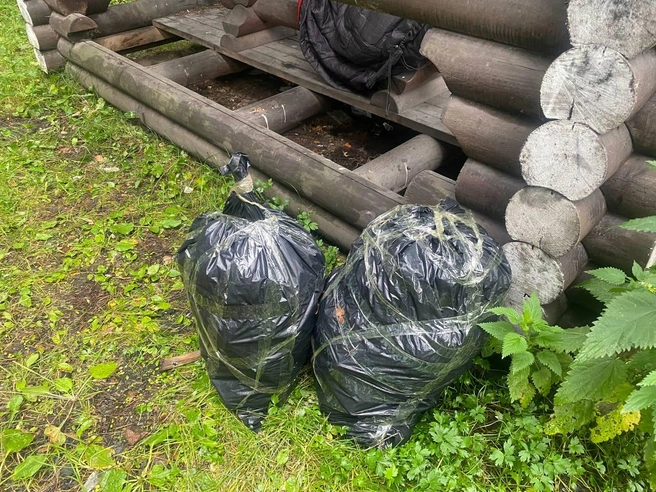 Зато с утра он убрал мусор вокруг | Источник: ЗЕЛЕНЫЙ ДРУГ / t.me