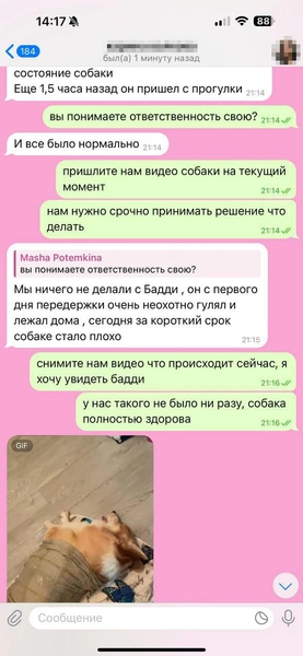 Но вскоре Мария не смогла участвовать в разговоре из-за нахлынувших чувств | Источник: Родион Проводин