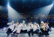 Последние летние выходные в Москве: K-pop, выставки и пушистые парады