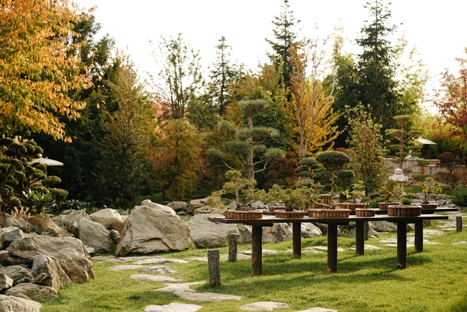 За красотой не обязательно ехать за границу. Парк Галицкого в Краснодаре | Источник: Дарья Паращенко / 93.RU