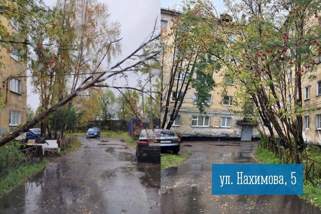 Источник: Иван Лебедев Мурманск / T.me