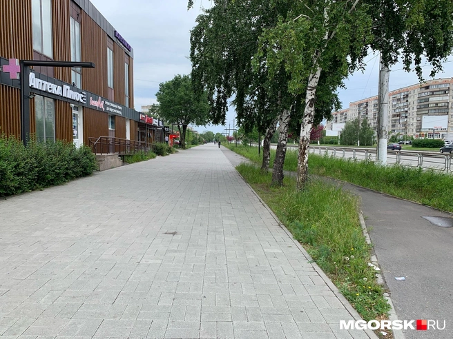 Как оцените состояние газонов? | Источник: Полина Котышева / MGORSK.RU