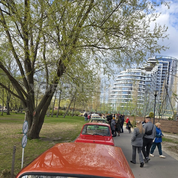 Источник: Читатель Voronezh1.ru
