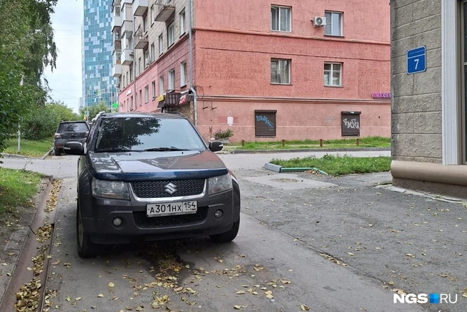 Место для прохода пешеходов водитель оставил, но правила парковки всё равно нарушил | Источник: читательница НГС