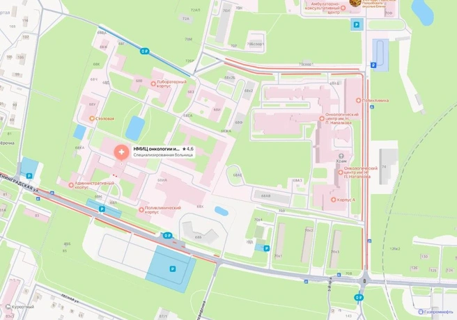 Зоны запрета на парковку и разрешенной парковки вокруг онкоцентров в Песочном | Источник: «Яндекс.Карты»