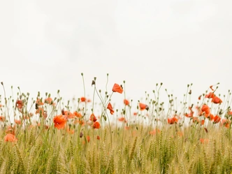 Тест: Какое вы явление природы? | Источник: Unsplash