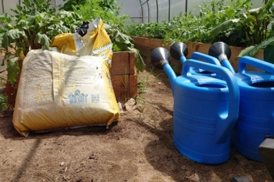 Новые правила сбора краснокнижных растений с 1 сентября 2026 года