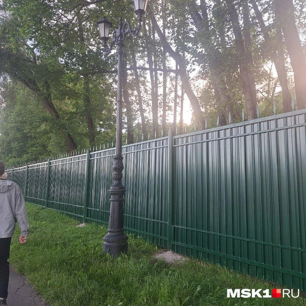 Дальше видно только сплошной забор, закрывающий склон и деревья | Источник: Арина Майорова / MSK1.RU