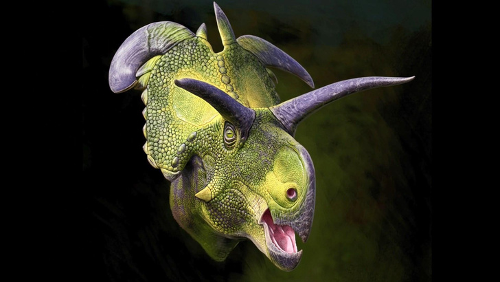 Рога — свидетельство успеха: динозавра с необычным «головным убором» назвали в честь бога Локи