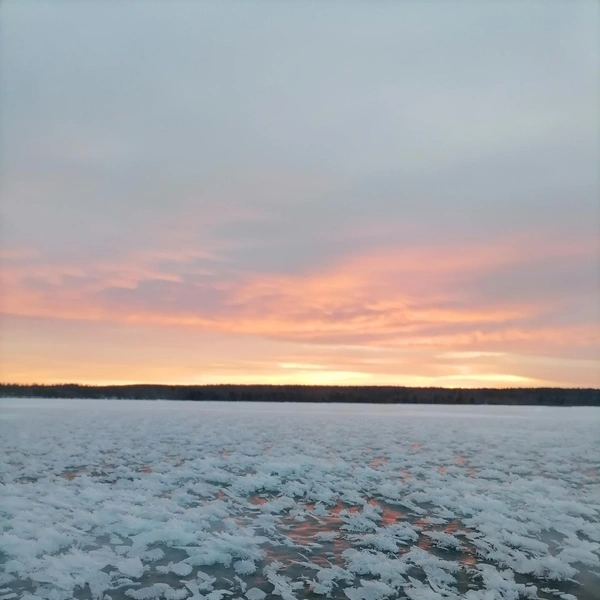 Ученый увидел ледяные цветы | Источник: Андрей Шихов / Vk.com