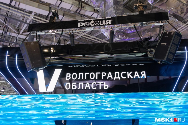 Тот самый символ, который наделал много шума несколько лет назад во время разработки нового логотипа региона | Источник: Дмитрий Толстошеев / MSK1.RU