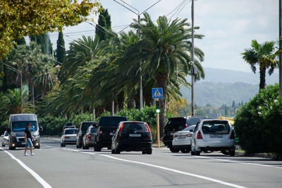 Russian Guide Saves Business Amid Abkhazia Fuel Crisis