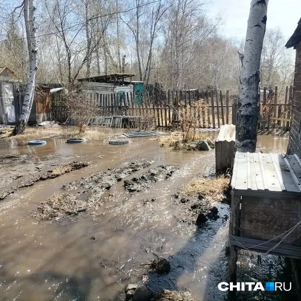 Источник: очевидец