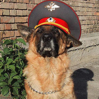 Аватарка He_FaPToBblu