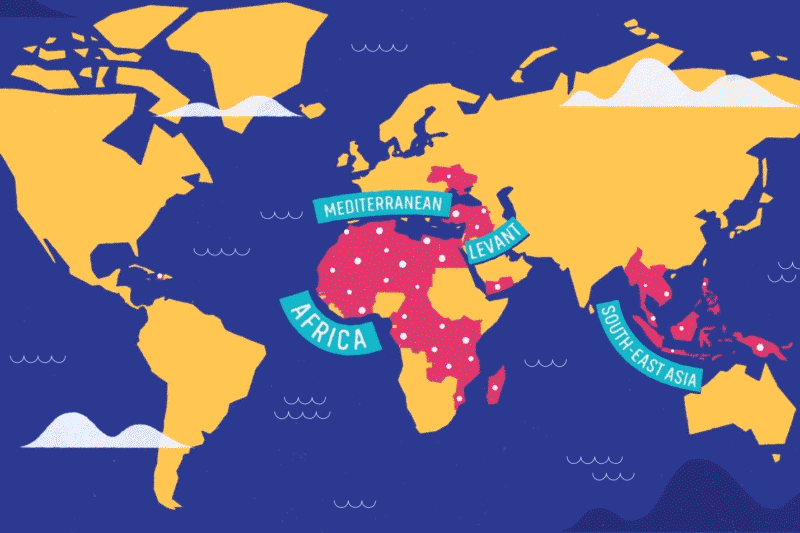 Animated map. Карта мира. Меняется карта мира. Политическая карта мира. Как менялась карта мира.