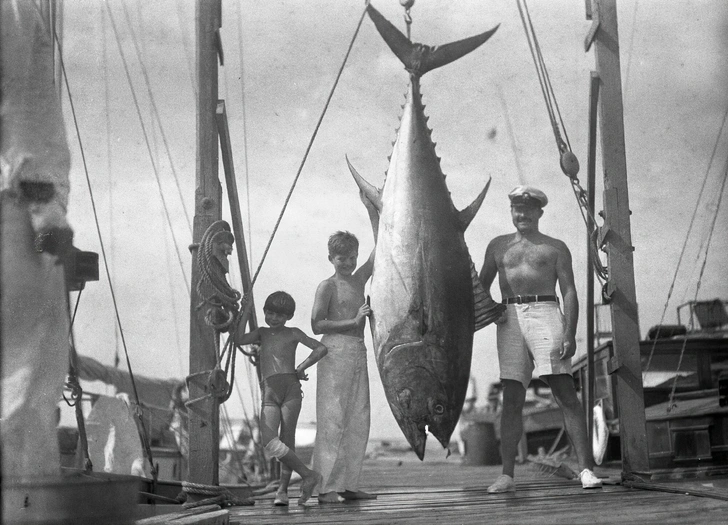 1930-е годы, Эрнест Хемингуэй позирует для фото на пристани с сыновьями и гигантским тунцом. Слева направо: Патрик «Маус» Хемингуэй, Джон «Бамби» Хемингуэй, Эрнест Хемингуэй | Источник: American Photo Archive via Legion Media