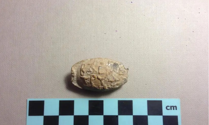 Обнаружен снаряд для пращи древнего царя Сирии