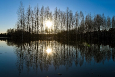 Уровень воды растет: новые данные МЧС по паводку