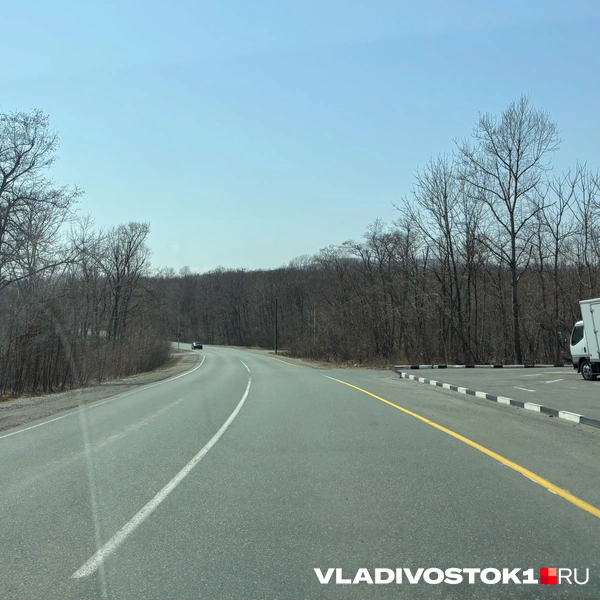 Источник: Елена Буйвол / VLADIVOSTOK1.RU