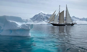 Экспедиция в Антарктиду: как попасть в самую южную точку Земли — рассказ туристки