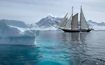 Экспедиция в Антарктиду: как попасть в самую южную точку Земли — рассказ туристки