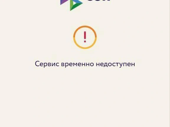 Утром множество читателей отправили скриншоты с подобными инцидентами | Источник: читатель E1.RU